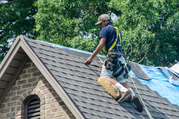 Best Shingle Roofing Installation  in Pine Mountain, GA